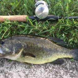 オータムトップ