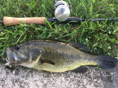 オータムトップ