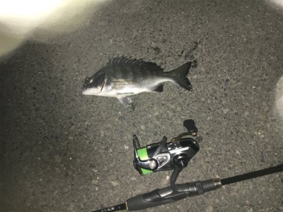 ナイトアジング