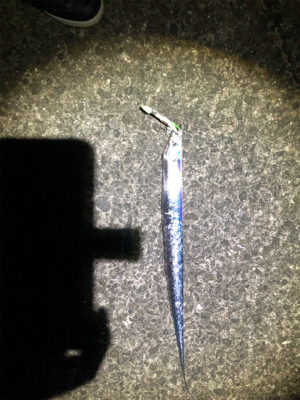 青物、タチ狙い