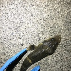 暇つぶしのライトゲーム