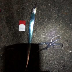 一年ぶりの食品コンビナート