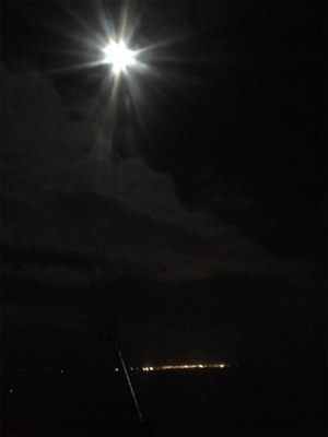 タチウオのちハマチのち‥