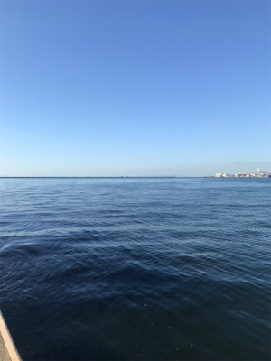 やっと釣れた_| ̄|○