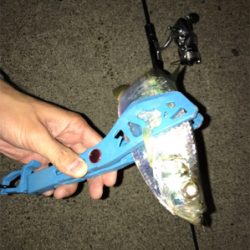 またまたライトゲーム