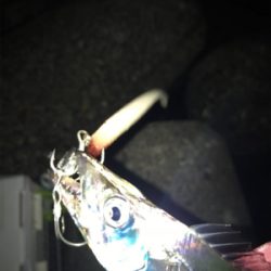 台風前に、行っとこ!