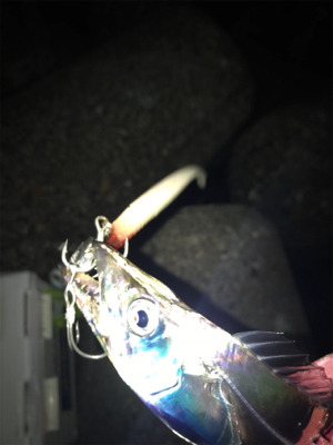 台風前に、行っとこ！