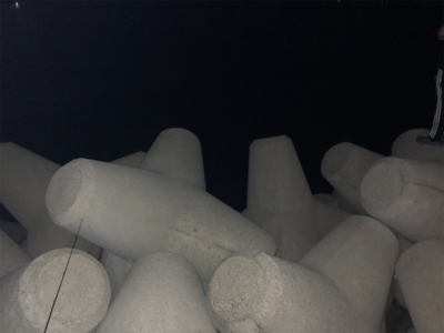 アオリを求めて…