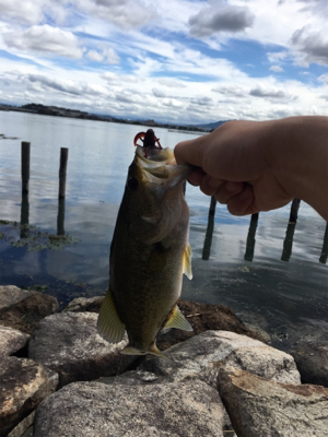 まだまだ暑い！