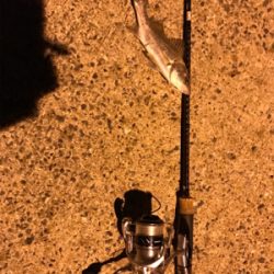 またまた暇つぶしライトゲーム