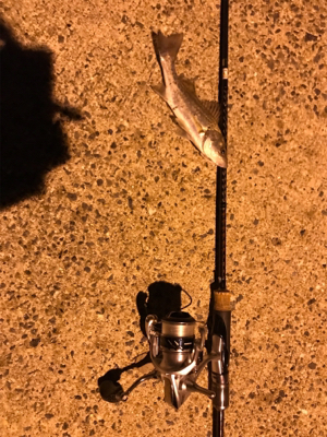 またまた暇つぶしライトゲーム