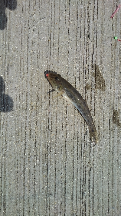 豊浜漁港、中山製鋼所