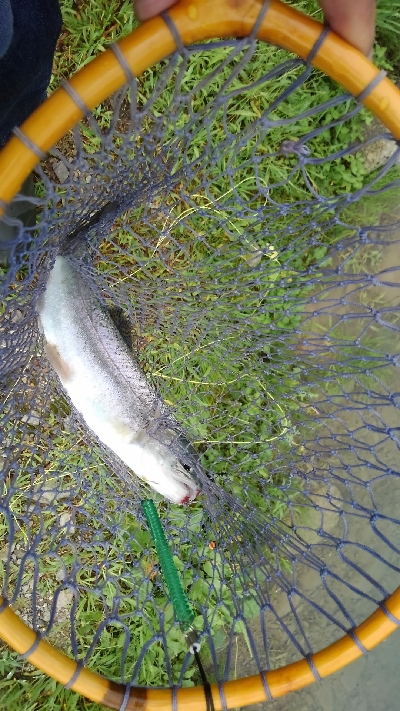 魚の里すぎしま