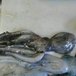 もう少し早かった