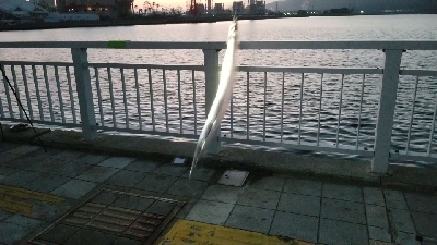 アタリ0から突然入れ食いモードになりました。