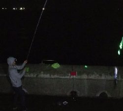 雨の太刀魚釣り