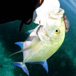 バラシが多く・・・