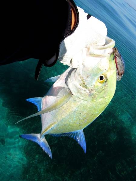 バラシが多く・・・