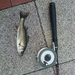 豊洲ぐるり公園　ん～、チビ