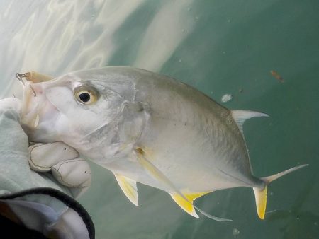 あまり釣れません。