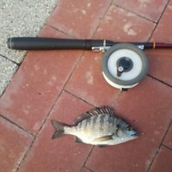 雨の降る前に　～豊洲ぐるり公園～