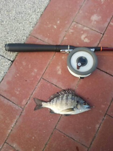 雨の降る前に　～豊洲ぐるり公園～