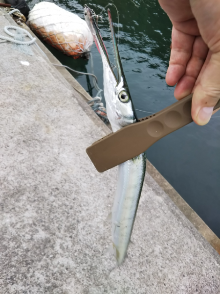 沼島で初メッキ