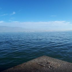 来てるで、太刀魚入れ食い!!