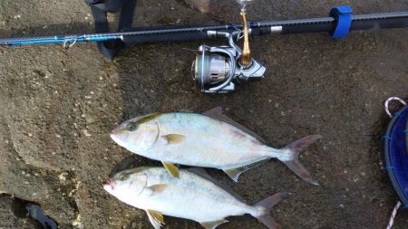 ロックショアゲームIN天神崎