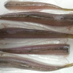 台風の次は 大雨・・・その翌日は?