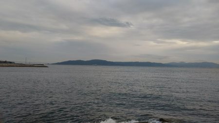 藤江海岸でツバス