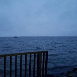 やっとサイズアップ