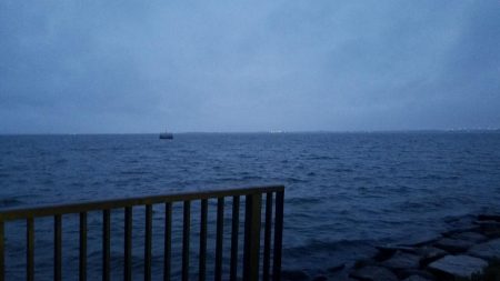 やっとサイズアップ