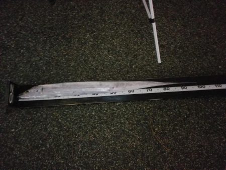 神戸タチチャレ参加