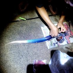 タチウオ浮き釣りとサビキのアジ、サバ