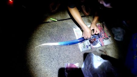 タチウオ浮き釣りとサビキのアジ、サバ