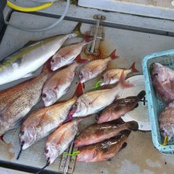 虎ノ介さんでタイラバ