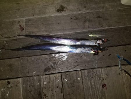 気軽にワインド