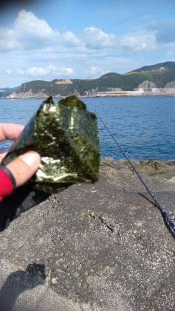 smallトレバリー南紀