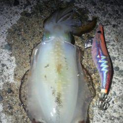 八つ・九つ・十 つ抜けできました。