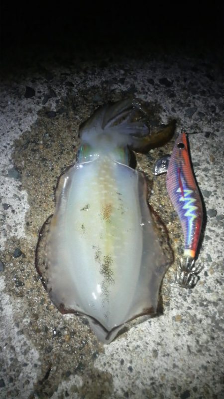 八つ・九つ・十　つ抜けできました。