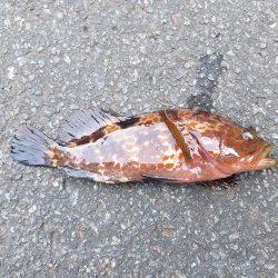 久しぶりに来ました！