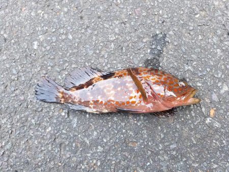 久しぶりに来ました！