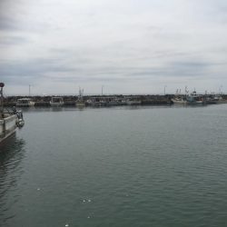 これからですねー！