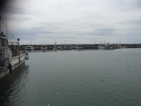 これからですねー！