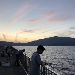 サゴシが釣れました！