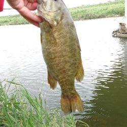 まさかのスモール