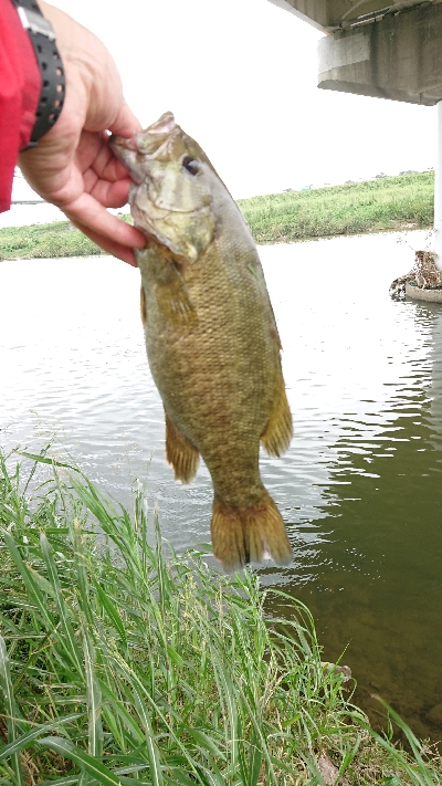 まさかのスモール