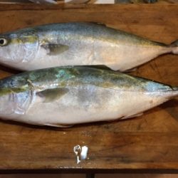 ショアジギング