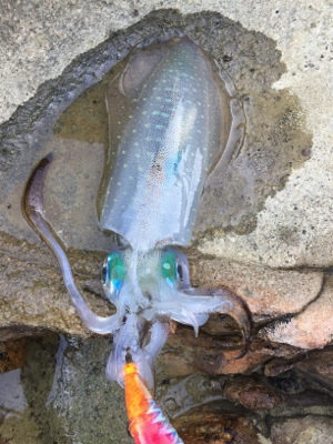 人多過ぎでしょ。